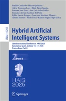 José Luis Calvo Rolle, Emilio Corchado, Paolo Fosci, Pablo García Bringas, Álvaro Herrero, Esteban Jove Pérez... - Hybrid Artificial Intelligent Systems