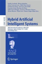José Luis Calvo Rolle, Emilio Corchado, Paolo Fosci, Pablo García Bringas, Álvaro Herrero, Esteban Jove Pérez... - Hybrid Artificial Intelligent Systems