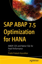 Pratik Prakash Kasralikar - SAP ABAP 7.5 Optimization for HANA