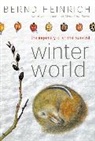 Bernd Heinrich, Bernd Heirich - Winter World