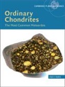 Rubin Alan E. - Ordinary Chondrites