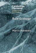 Marco Malvestio, Marco (University of Padua) Malvestio - Ruin Ecology