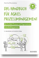 Manfred Brandstätter - Das Handbuch für agiles Prozessmanagement