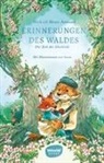 Mickaël Brun-Arnaud, Sanoe, Sanoe, Julia Süssbrich - Erinnerungen des Waldes Band 4