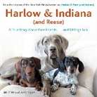 Vega Brittni, Vega Jeff - Harlow & Indiana (and Reese)