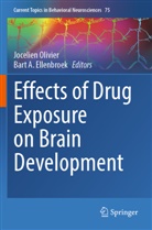 A Ellenbroek, Bart A. Ellenbroek, Jocelien Olivier - Effects of Drug Exposure on Brain Development