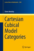 Steve Awodey - Cartesian Cubical Model Categories