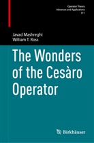 Javad Mashreghi, William T Ross, William T. Ross - The Wonders of the Cesàro Operator