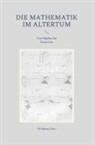 Wolfgang Hein - Die Mathematik im Altertum