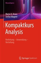 Mario H Kraus, Mario H. Kraus, Stefan Wagner - Kompaktkurs Analysis