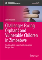 John Ringson - Challenges Facing Orphans and Vulnerable Children in Zimbabwe