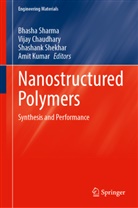 Vijay Chaudhary, Amit Kumar, Bhasha Sharma, Shashank Shekhar, Shashank Shekhar et al - Nanostructured Polymers