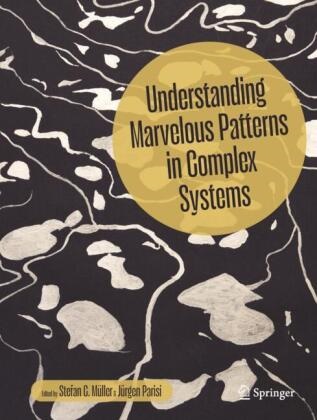 Stefan C Müller, Stefan C. Müller,  Parisi, Jürgen Parisi - Understanding Marvelous Patterns in Complex Systems
