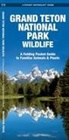 James Kavanagh, James/ Leung Kavanagh, Waterford Press, Raymond Leung, Leung Raymond - Grand Teton National Park Wildlife