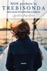 Agostino Napolitano - Non perdere la trebisonda. Dieci storie per non perdere la direzione in azienda