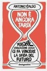 Antonio Galdo - Non è ancora tardi. Perché l'educazione civica ci fa vincere la sfida del futuro