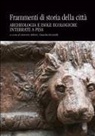 Antonio Alberti, Claudia Rizzitelli - Frammenti di storia della città. Archeologia e isole ecologiche interrate a Pisa