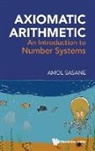 Sasane Amol - Axiomatic Arithmetic: An Introduction To Number Systems