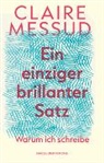Claire Messud - Ein einziger brillanter Satz