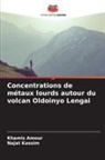Khamis Amour, Najat Kassim - Concentrations de métaux lourds autour du volcan Oldoinyo Lengai