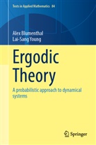 Alex Blumenthal, Lai-Sang Young - Ergodic Theory