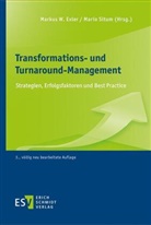 Markus W. Exler, Mario Situm, Situm (Prof. (FH) DDr., Markus W Exler (Prof. Dr.) - Transformations- und Turnaround-Management