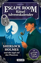 Robin Palm - Der Escape Room Rätsel-Adventskalender: Sherlock Holmes & die Jagd auf das Phantom