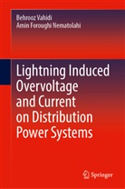 Amin Foroughi Nematolahi, Behrooz Vahidi - Lightning Induced Overvoltage and Current on Distribution Power Systems