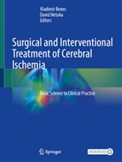 Vladimir Benes, Netuka, David Netuka - Surgical and Interventional Treatment of Cerebral Ischemia