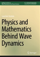 Sanichiro Yoshida - Physics and Mathematics Behind Wave Dynamics