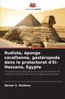 Hanan S. Badawy - Rudiste, éponge corallienne, gastéropode dans le protectorat d'El-Hassana, Égypte