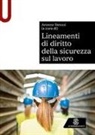 Aronne Strozzi - Lineamenti di diritto della sicurezza sul lavoro