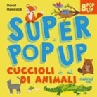 David Hawcock - Cuccioli di animali. Super pop up