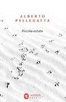Alberto Pellegatta - Piccola estate