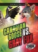 Nathan Sommer - Canada Goose vs. Gray Fox