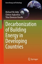 Michael Nii Addy, Clinton Aigbavboa, Titus Kwofie, Titus Ebenezer Kwofie - Decarbonization of Building Energy in Developing Countries