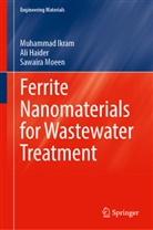 Ali Haider, Muhammad Ikram, Sawaira Moeen - Ferrite Nanomaterials for Wastewater Treatment