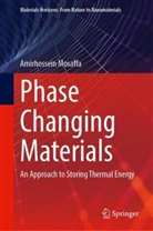 Amirhossein Mosaffa - Phase Changing Materials