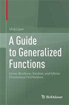 Ulug Çapar, Uluğ Çapar - A Guide to Generalized Functions