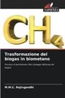 M. M. C. Rajivgandhi, M.M.C. Rajivgandhi - Trasformazione del biogas in biometano
