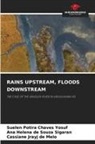Cassiane Jrayj de Melo, Ana Helena de Souza Sigaran, Suelen Potira Chaves Yosuf - RAINS UPSTREAM, FLOODS DOWNSTREAM