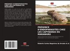 Roberto Carl Negreiros de Arruda Et Al, Roberto Carlos Negreiros de Arruda et al. - PRÉSENCE D'ENDOPARASITES CHEZ LES CAPYBARAS DU MARANHÃO