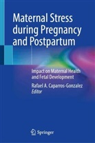 Rafael A Caparros-Gonzalez, Rafael A. Caparros-Gonzalez - Maternal Stress during Pregnancy and Postpartum