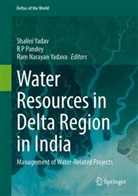 Ram Narayan Yadava, R P Pandey, R P Pandey, Shalini Yadav, Ram Narayan Yadava - Water Resources in Delta Region in India