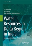 Ram Narayan Yadava, R P Pandey, R P Pandey, Shalini Yadav, Ram Narayan Yadava - Water Resources in Delta Region in India