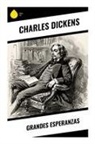 Charles Dickens - Grandes Esperanzas