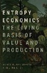 Chen Jing, James K. Galbraith - Entropy Economics