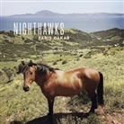 Nighthawks - Paris-Dakar, 1 Audio-CD (Hörbuch)