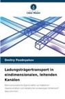Dmitry Pozdnyakov - Ladungsträgertransport in eindimensionalen, leitenden Kanälen