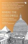 Karthik Venkatesh - Where The Gods Dwell
